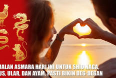 Jodoh atau Patah Hati? Ramalan Asmara Hari Ini untuk Shio Naga, Tikus, Ular, dan Ayam, Pasti Bikin Deg-degan