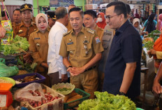 Ratu Dewa Pantau Harga Sembako di Pasar Palembang, Tekan Inflasi Gelar Pasar Murah di 13 Kecamatan