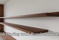 Berguna Banget! Desain Interior Rak Dinding untuk Rumah Minimalis, Bikin Ruangan Terlihat Rapih