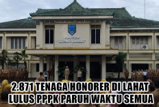 HORE! Surat Pengantar BKN Sudah Keluar, 2.871 Tenaga Honorer di Lahat Lulus PPPK Paruh Waktu Semua