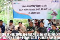 2025 Indonesia Stop Impor Beras, Bulog Diminta All Out Serap Gabah Petani Saat Puncak Panen Raya