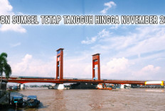 Hingga November 2025, Kemenkeu Sebut APBN di Wilayah Sumsel Tetap Tangguh, ini Buktinya!