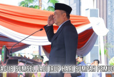 Pesan Menpora Lewat Wagub Cik Ujang, Bakar Semangat Pemuda Sumsel Cetak Sejarah di Masa Depan