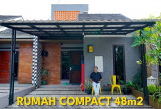Home Tour Rumah 48m²: Sulap Lahan Sempit Jadi Taman Dalam yang Sejuk