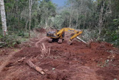 ALHAMDULILLAH! Akses Jalan Desa Lampar Baru Empat Lawang Sentuh 38 Persen, Ini Kata Koordinator 