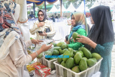 Bukan Hanya dari Palembang, 25 Pelaku Usaha Agribisnis Beramai-Ramai Ikut Pusri Agro Show
