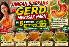 Jangan Biarkan Gerd Merusak Hari! Ini 5 Ramuan Teh Herbal Paling Manjur Menjaga Lapisan Lambung Tetap Aman