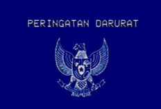 Viral Peringatan Darurat Garuda Biru Banjiri Media Sosial, Maksudnya Apa?