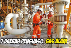 Bukan Cuma Timur Tengah! Indonesia Punya 7 Ladang Gas Alam Raksasa yang Mendunia
