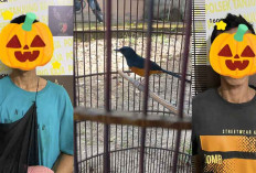 Polsek Tanjung Raja Ungkap Kasus Pencurian Burung, Ini Pelakunya