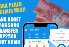 Gak Perlu Ngemis Misi! DANA Kaget Langsung Transfer Rp 250.000 Buat Kamu
