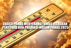 Cuaca Panas Menyerang! BMKG Jelaskan Penyebab dan Prediksi Musim Panas 2025