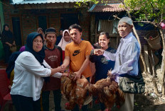 Belum Jadi Kepala Daerah Sudah Salurkan Bantuan 10 Ekor Ayam, Ini Komentar Warga