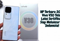 HP Terbaru 2024 Vivo V30 Telah Lolos Sertifikasi, Siap Meluncur Ke Indonesia!