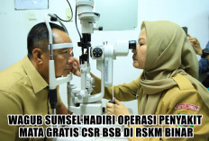 Wagub Cik Ujang Sebut Sinergi 3 Pilar ini Jadi Kunci Tingkatkan Kesehatan di Sumatera Selatan, Apa Saja?