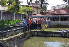Pasar Benih Ikan Bakal Direvitalisasi, Target 4 Juta Ikan Keluar Lahat, Bupati Minta Syarat Ini