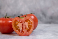 Bikin Haid Makin Nyaman, Ini 4 Manfaat Tomat untuk Atasi Kram di Perut!