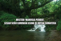 Misteri 'Manusia Pendek', Kisah Seru Ilmuwan Asing di Hutan Sumatera