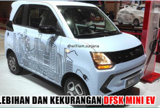 Review Lengkap Kelebihan dan Kekurangan DFSK Mini EV, Si Imut Bertenaga Listrik dengan Harga Ramah Kantong