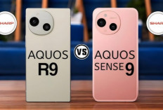 Boyong Sharp Aquos R9 Pro dan Aquos Sense9, Sharp Blak-blakan Bilang Harganya Mahal