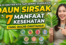 Ada di Sekitar Kita tapi Sering Diabaikan! Ini 7 Manfaat Daun Sirsak untuk Kesehatan yang Wajib Diketahui