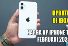 Update di iBox, Harga HP iPhone 11 Februari 2024