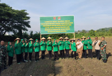 Tanam Jagung di Lahan 1 Hektar, Kodim 0405 Lahat Dukung Program Ketahanan Pangan Nasional, Ini Buktinya 
