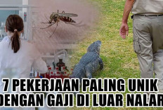 Aneh Tapi Nyata! Inilah 7 Pekerjaan Paling Unik dengan Gaji di Luar Nalar, Siap-Siap Dicibir Hasil Ngepet!