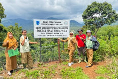 Disbun Lahat Lakukan Monev Kebun Entres Kopi Robusta Desa Geramat, Ini Tujuannya 