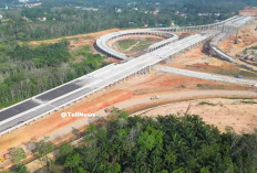 AKHIRNYA! Proyek Penghubung Sumatera Selatan-Jambi Hampir Selesai, Warga Sumringah, Perjalanan Makin Cepat