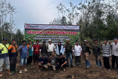 GOKIL! Kolaborasi Pemdes Lubuk Lungkang Lahat dan PT SMS Bantu Pekebun dalam Program Ini Loh