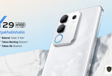Review Lengkap vivo Y29: HP Rp2 Jutaan Tahan Banting, Gaming Lancar, dan Kamera 50MP Super Tajam