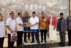 Komisi X DPR RI Dukung Penguatan Museum Negeri Sumsel sebagai Pusat Edukasi dan Pelestarian Budaya