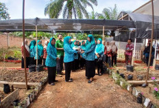 Dinas TPHP Lahat Bantu Benih Sayuran kepada TP PKK Sukamakmur, Ini Tujuannya 