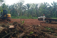 Bukan Kaleng-kaleng! Pemdes Jagabaya Lahat Siapkan 6 Unit Gerai Kopdes Merah Putih, Apa Saja Itu