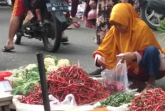 Memasuki Libur Nataru, Harga Sayuran di Pagaralam Stabil 