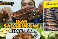 8 Makanan Khas Kabupaten PALI Sumatera Selatan, Ada Segarurung hingga Dodol Biji Karet!