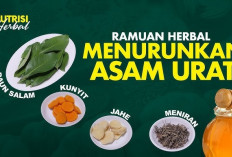 Ampuh dan Alami! 5 Rebusan Tanaman Herbal Ini Dipercaya Bantu Redakan Asam Urat pada Lansia