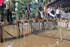 Lepas Benih Lele, Perkuat Ketahanan Pangan pada Program TMMD 128 Kodim 0405 Lahat 