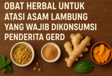 Rahasia Alam Sembuhkan Lambung! Obat Herbal Termanjur untuk Penderita GERD yang Ingin Hidup Nyaman Tanpa Nyeri