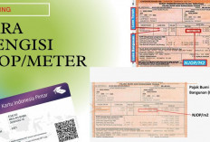 Cara Mengisi NJOP KIP Kuliah 2025, Panduan Lengkap dan Akurat!