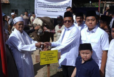 Wali kota H Arlan Solat Idul Adha Di Islamic Center dan Serahkan Sapi Presiden 