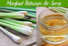 10 Manfaat Luar Biasa Serai untuk Kesehatan Tubuh, Detoks Alami Hingga Penangkal Penyakit Kronis!  