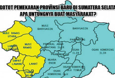Ngotot Pemekaran Provinsi Baru di Sumatera Selatan, Apa Untungnya Buat Masyarakat?