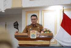 Pemkot Palembang Segera Luncurkan Aplikasi KAWAL PAK WALI, Solusi Digital Cegah Jadwal Pimpinan Tumpang Tindih