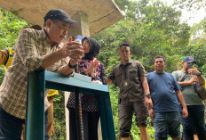 Tinjau Irigasi Sawah di Mulak Ulu Lahat, BZ-WIN: Perbaikan Irigasi Jadi Pondasi Kuat Swasembada Pangan