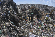 Produksi Sampah di Palembang Sentuh 1.000 Ton Per Hari, 2 Kecamatan Pilot Project Edukasi