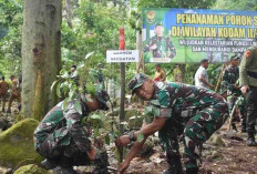 Hijaukan Lampung, Korem 043/Gatam Wilayah Kodam II/Swj Tanam 6300 Batang Pohon