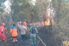 2 Hektar Lahan Terbakar di Sungai Rambutan Ogan Ilir, Tim Gabungan Sukses Jinakan Si Jago Merah