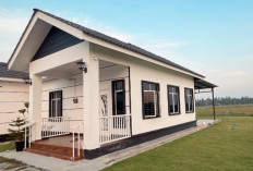 Ini Desain Rumah Kampung yang Tidak Kampungan